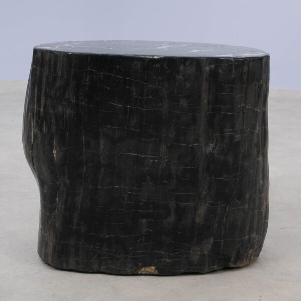 Side table petrified wood 51328
