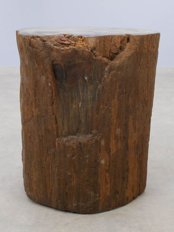 Side table petrified wood 51329