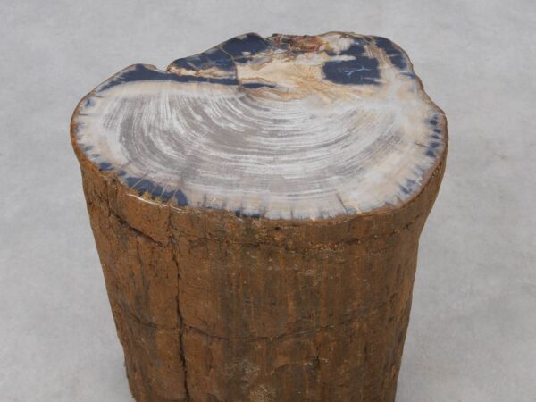 Side table petrified wood 51329