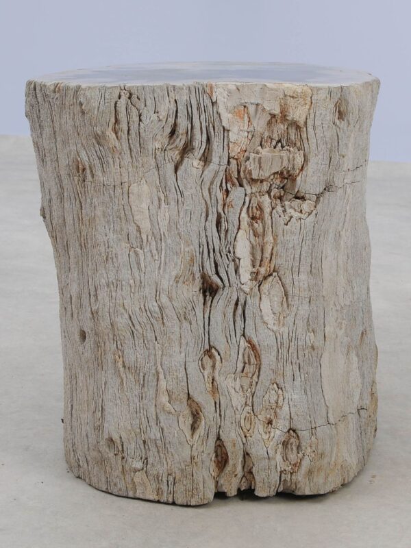 Side table petrified wood 51338
