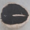 Side table petrified wood 49057