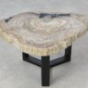 Table basse bois pétrifié 51213