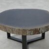 Table basse bois pétrifié 51250