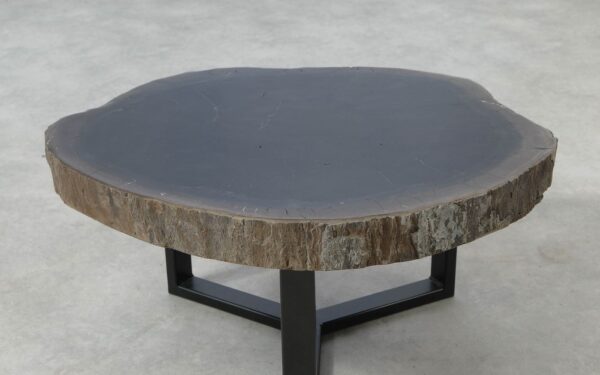 Table basse bois pétrifié 51250