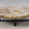 Table basse bois pétrifié 51259