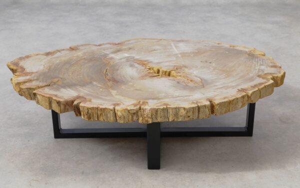 Table basse bois pétrifié 51259