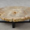 Table basse bois pétrifié 51261