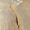 Table basse bois pétrifié 51261