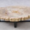Table basse bois pétrifié 51263
