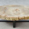 Table basse bois pétrifié 51267