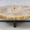 Table basse bois pétrifié 51268