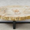 Table basse bois pétrifié 51270