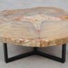 Table basse bois pétrifié 52186
