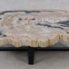 Table basse bois pétrifié 52189