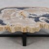 Table basse bois pétrifié 52190