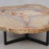 Table basse bois pétrifié 52202