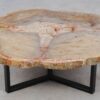Table basse bois pétrifié 52208