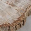 Table basse bois pétrifié 52228