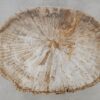 Table basse bois pétrifié 52230