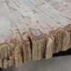 Table basse bois pétrifié 52230