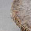 Table basse bois pétrifié 52231