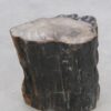 Table d'appoint bois pétrifié 47039