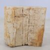 Table d'appoint bois pétrifié 48007