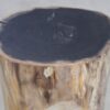 Table d'appoint bois pétrifié 49058