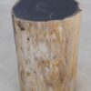Table d'appoint bois pétrifié 49058