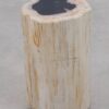 Table d'appoint bois pétrifié 51000