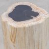 Table d'appoint bois pétrifié 51000
