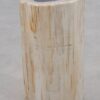 Table d'appoint bois pétrifié 51000