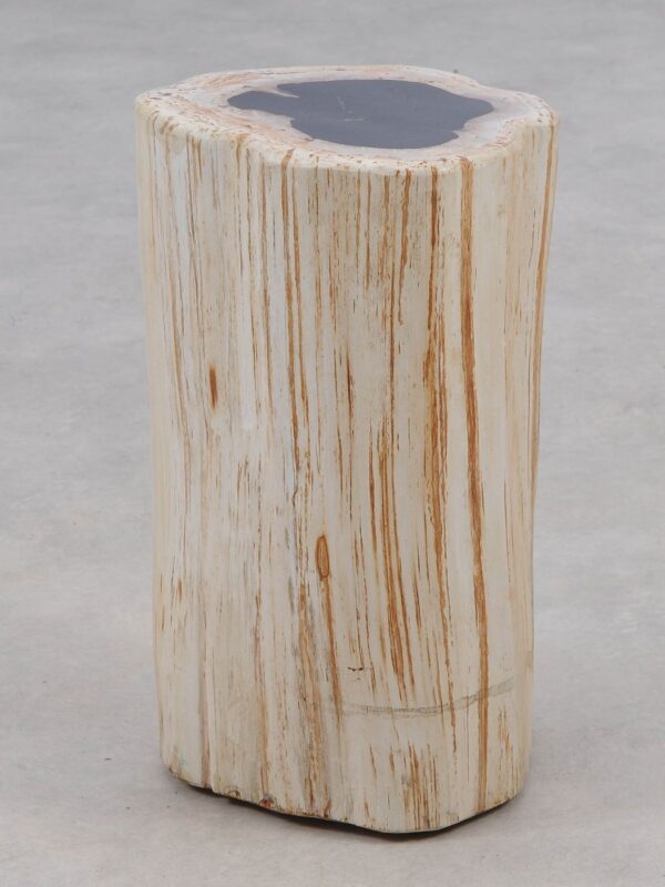 Table d'appoint bois pétrifié 51000