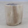 Table d'appoint bois pétrifié 51007