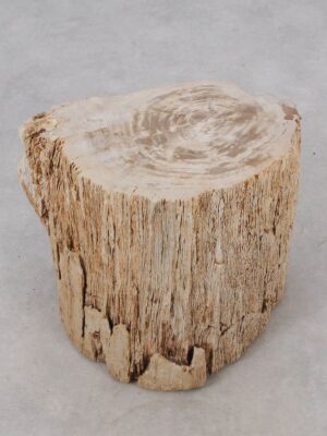 Table d'appoint bois pétrifié 51028