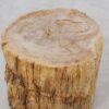 Table d'appoint bois pétrifié 51031