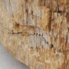 Table d'appoint bois pétrifié 51031