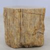 Table d'appoint bois pétrifié 51031