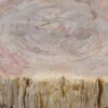 Table d'appoint bois pétrifié 51032