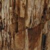 Table d'appoint bois pétrifié 51032