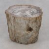 Table d'appoint bois pétrifié 51033