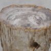 Table d'appoint bois pétrifié 51033