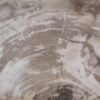 Table d'appoint bois pétrifié 51033