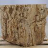 Table d'appoint bois pétrifié 51042