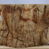 Table d'appoint bois pétrifié 51042