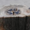 Table d'appoint bois pétrifié 51044
