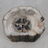 Table d'appoint bois pétrifié 51044