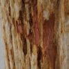 Table d'appoint bois pétrifié 51045