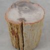 Table d'appoint bois pétrifié 51045