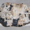 Teller versteinertes Holz 51086